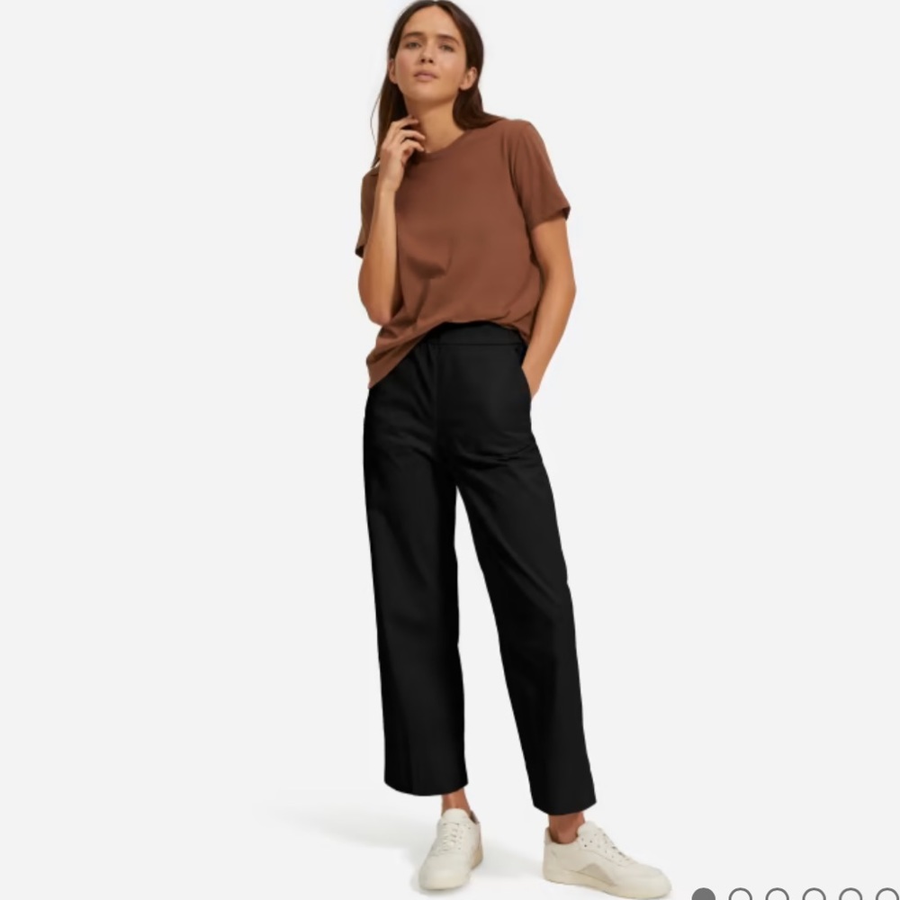 Everlane The Easy Pant- size 6